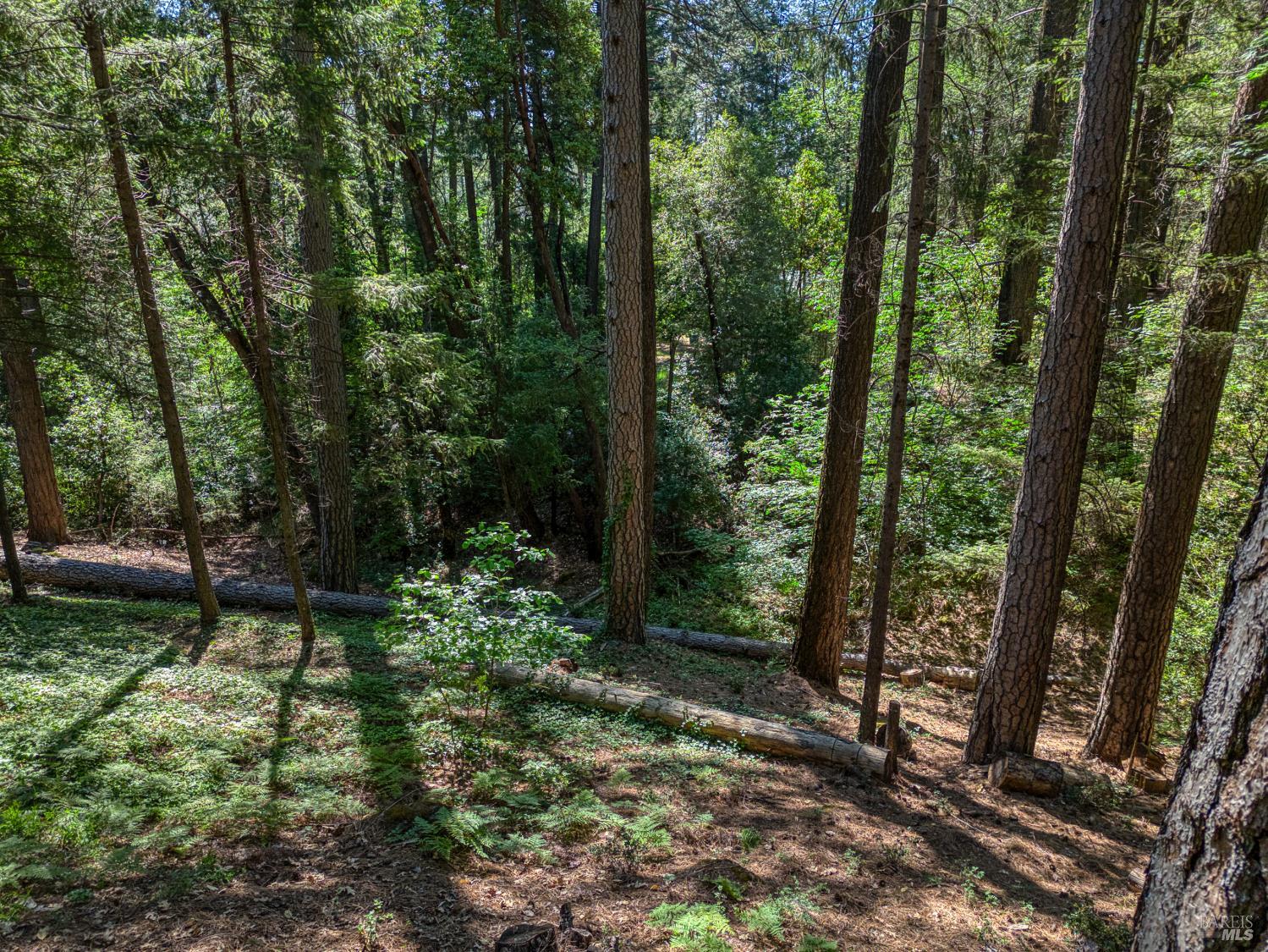 17301 Dogwood Way Middletown CA 95461