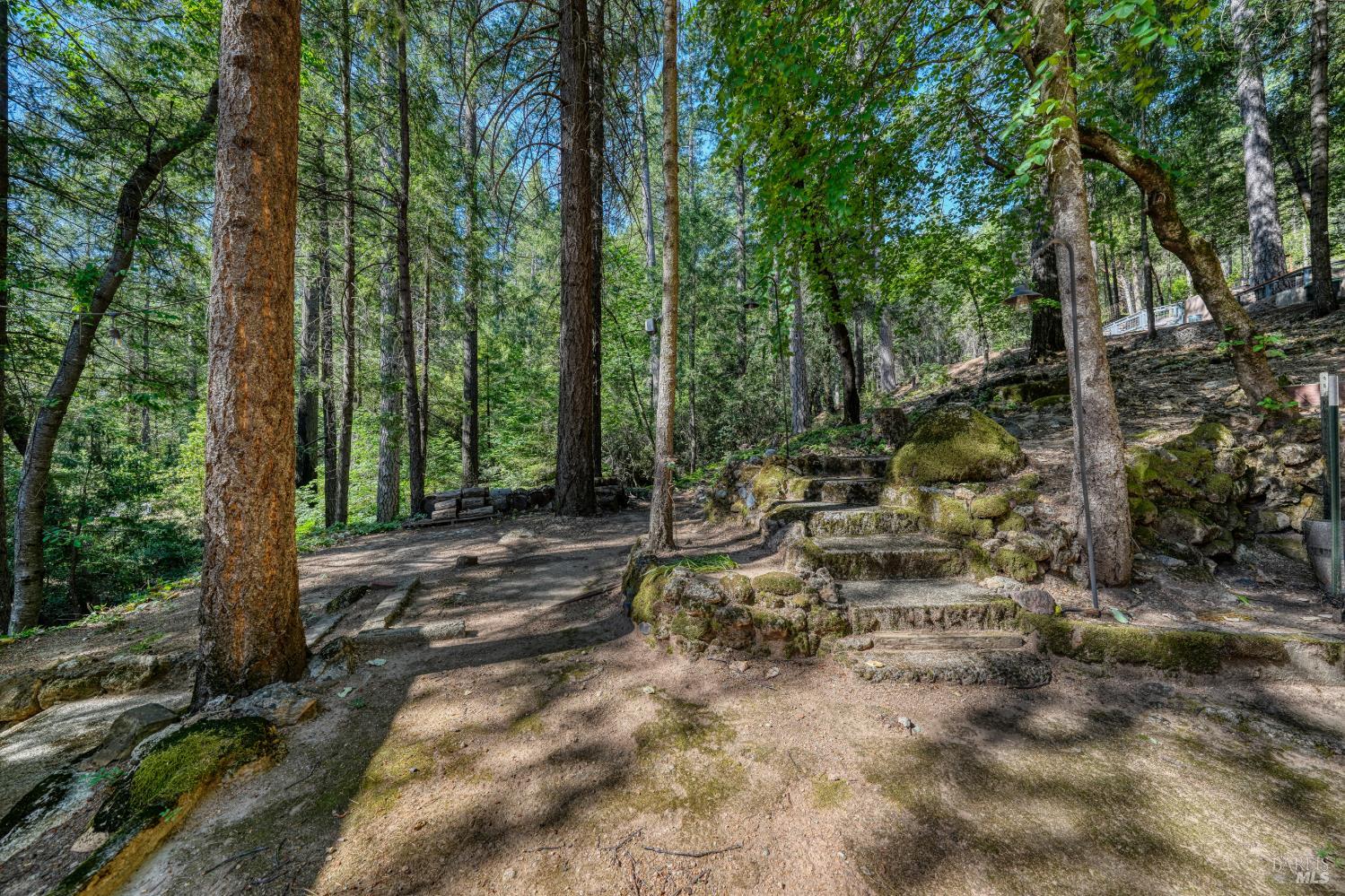 17301 Dogwood Way Middletown CA 95461