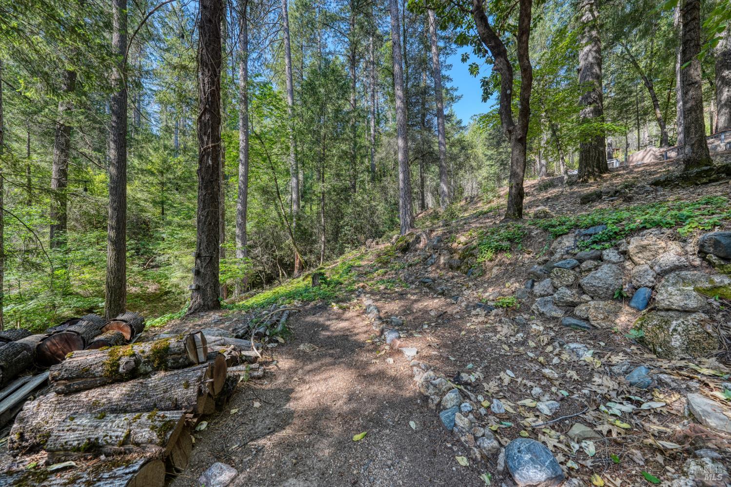 17301 Dogwood Way Middletown CA 95461