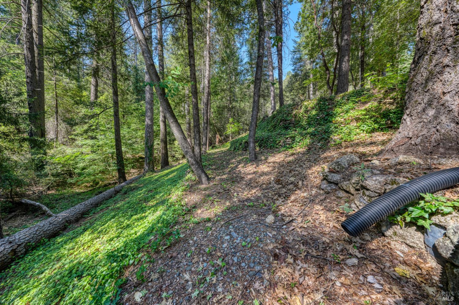 17301 Dogwood Way Middletown CA 95461