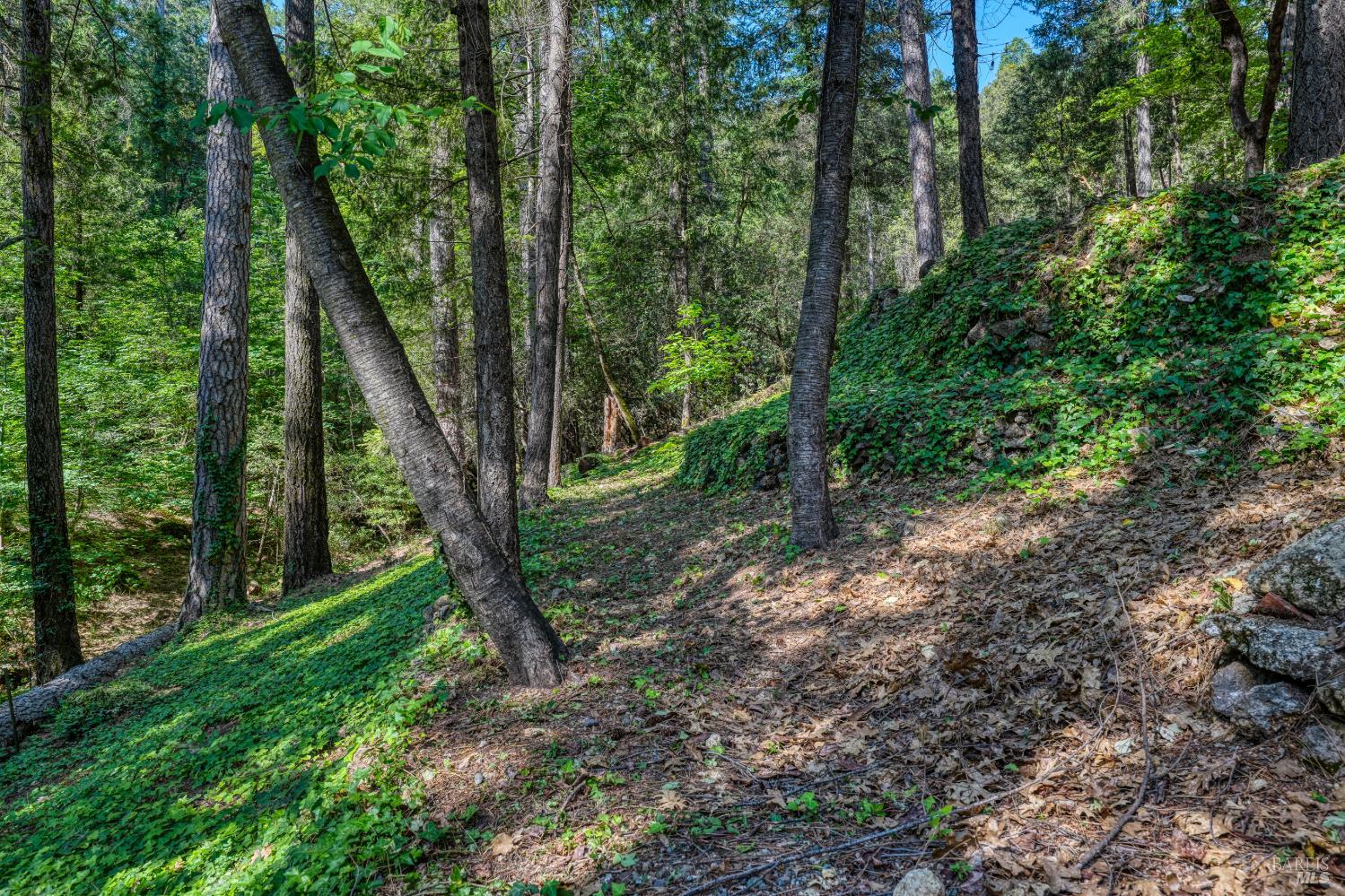 17301 Dogwood Way Middletown CA 95461