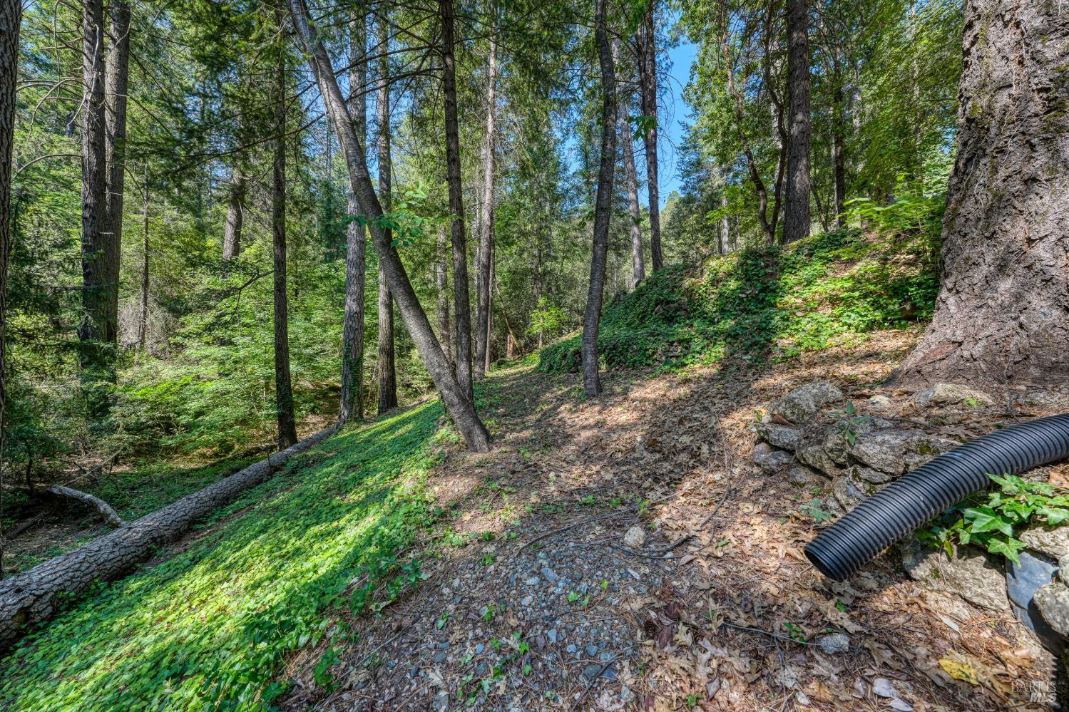 17301 Dogwood Way Middletown CA 95461