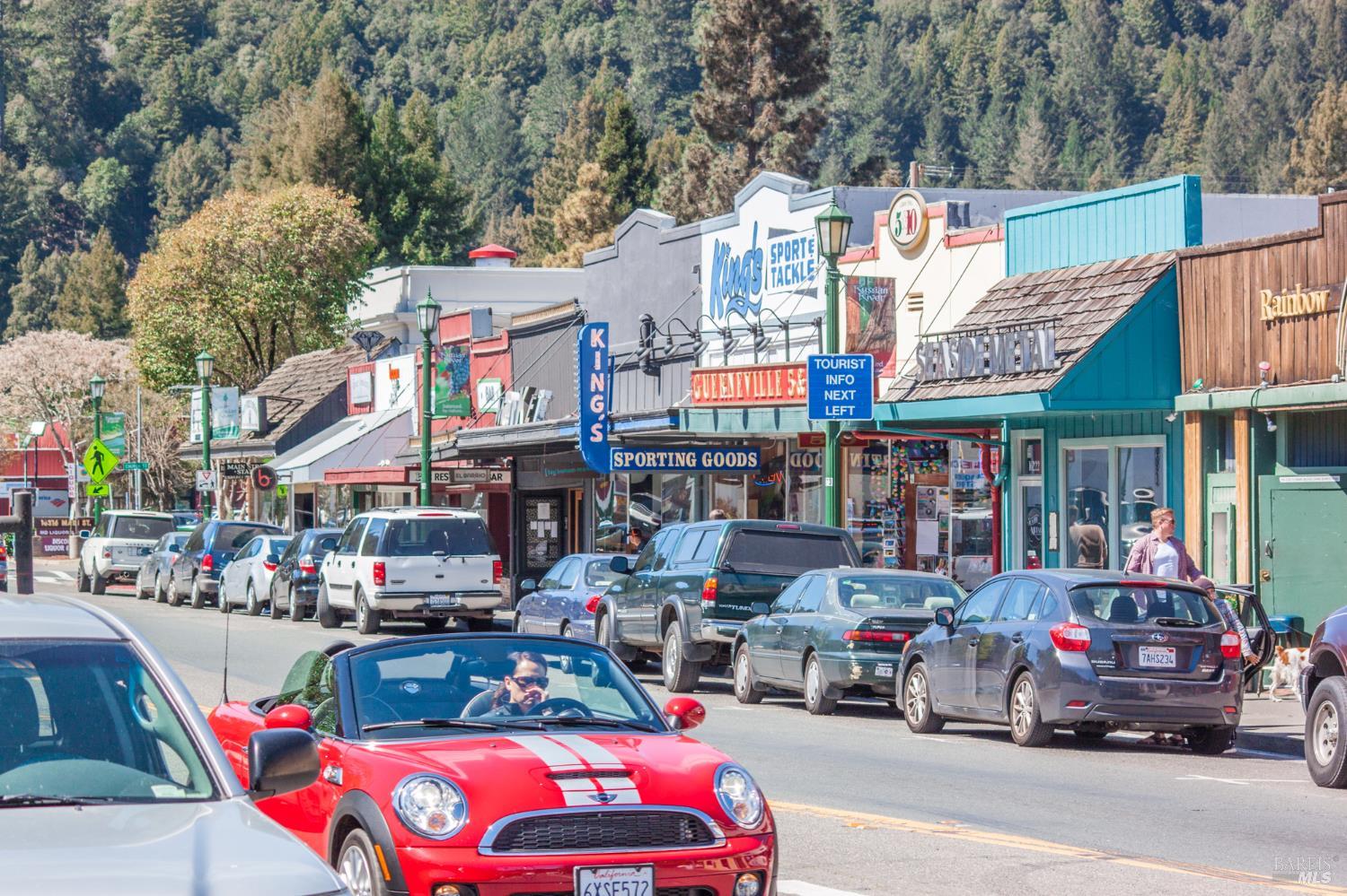 16100 Brookdale Drive Guerneville CA 95446