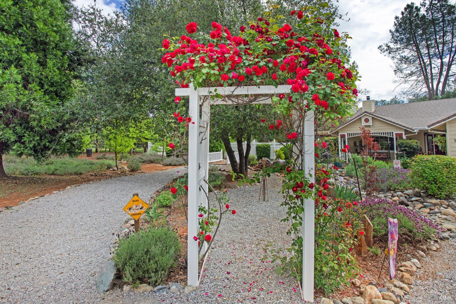 12805 Melonbank Drive Redding CA 96003