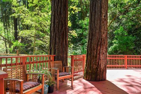 7600 Bohemian Highway Occidental CA 95465