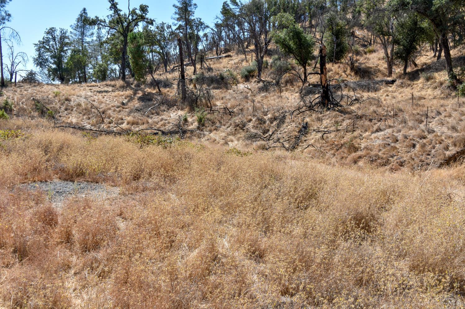 6003 Wragg Canyon Road Napa CA 94558