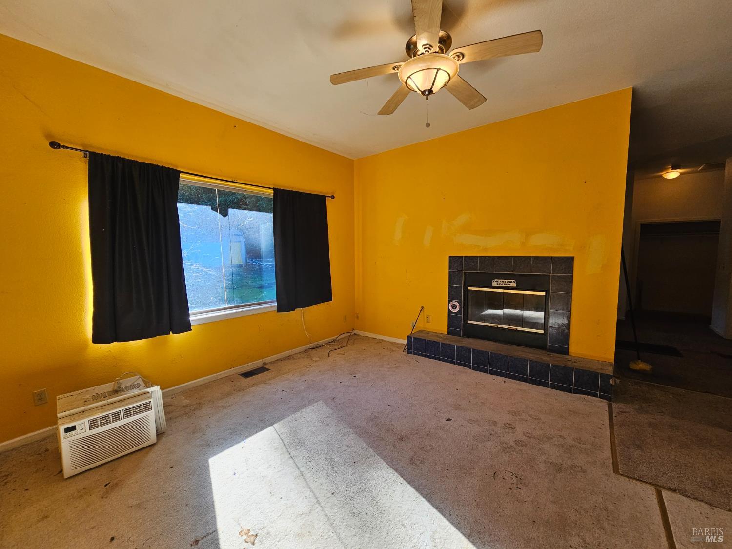 27651 Skyview Road Willits CA 95490