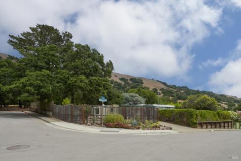 256 Mount Shasta Drive San Rafael CA 94903