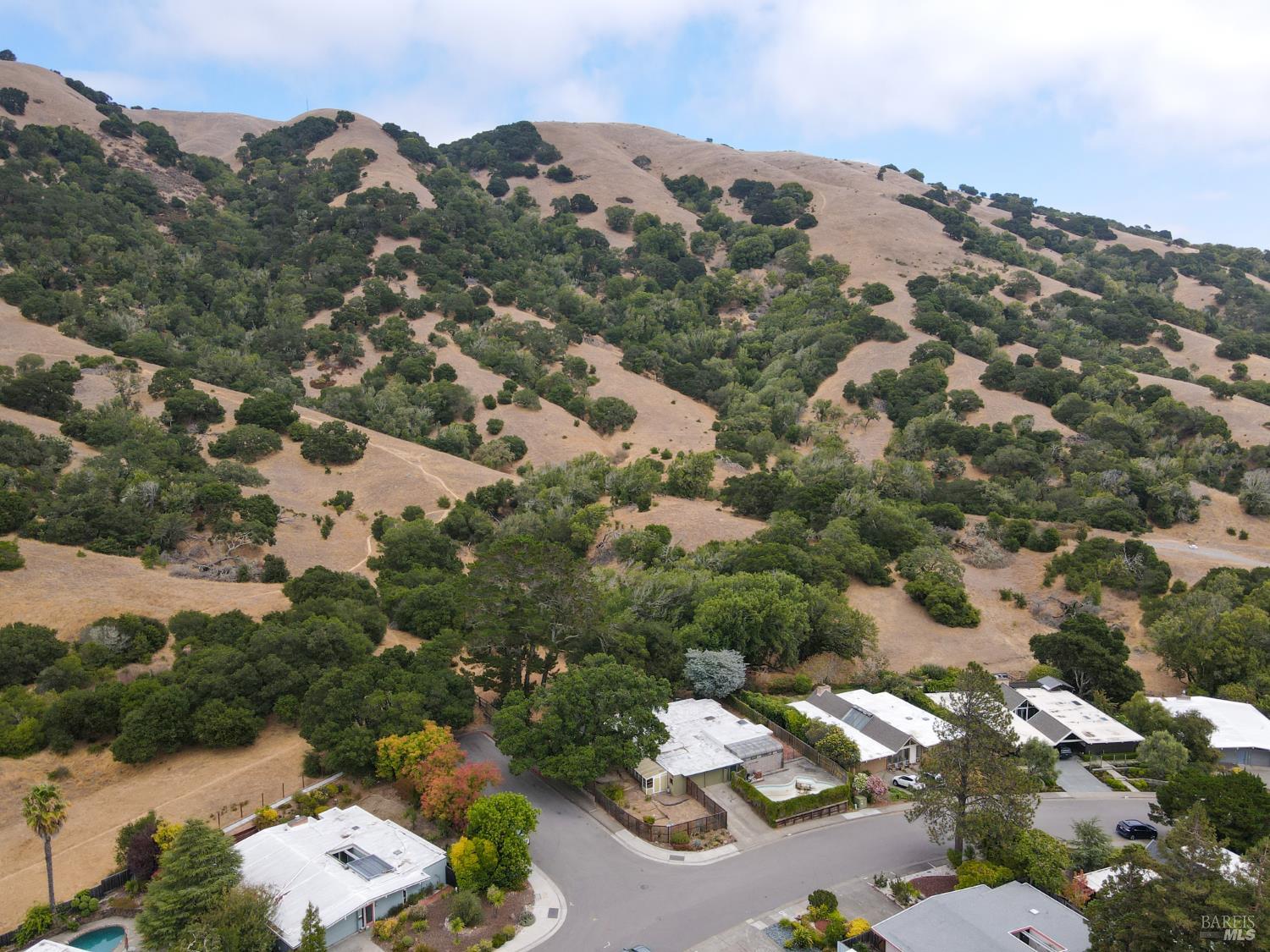 256 Mount Shasta Drive San Rafael CA 94903