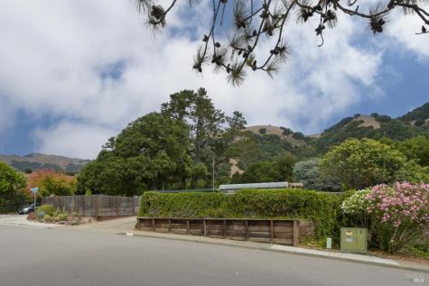 256 Mount Shasta Drive San Rafael CA 94903