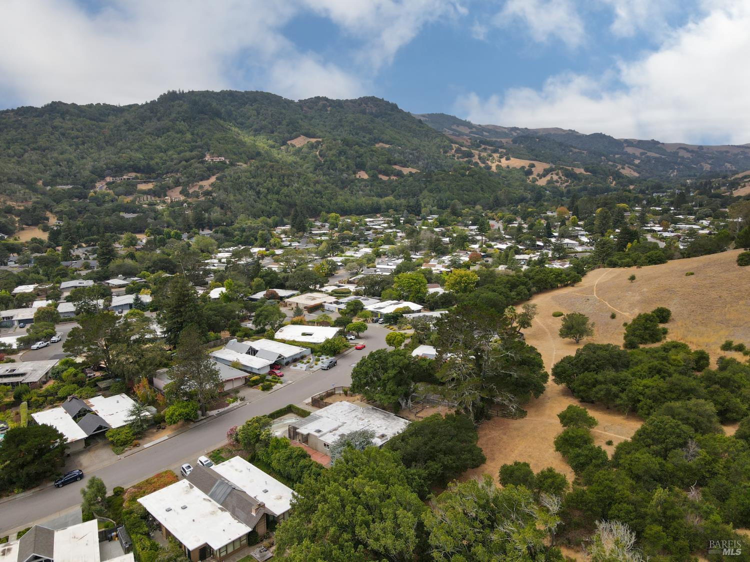 256 Mount Shasta Drive San Rafael CA 94903