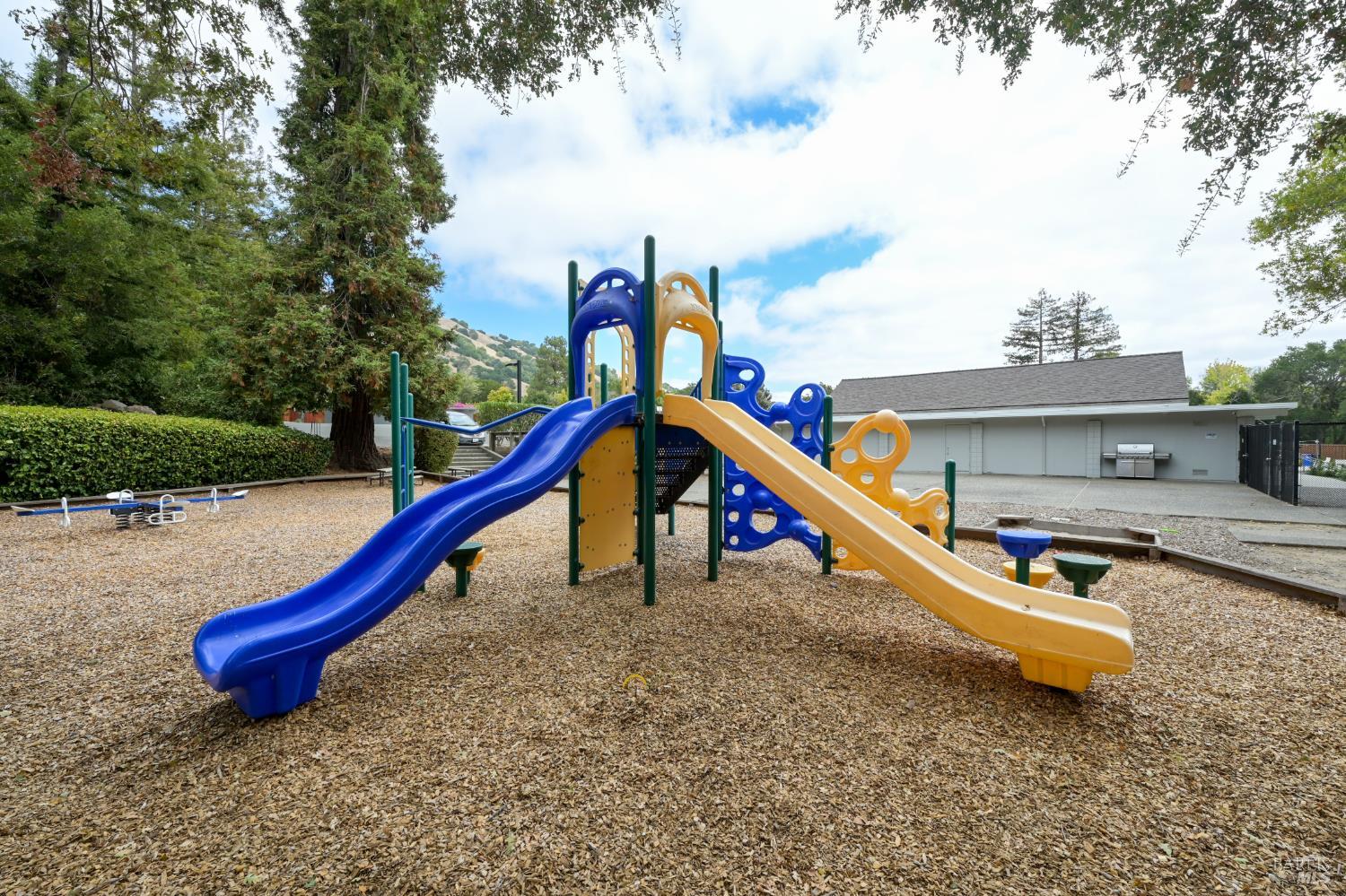 256 Mount Shasta Drive San Rafael CA 94903