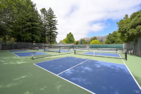 256 Mount Shasta Drive San Rafael CA 94903