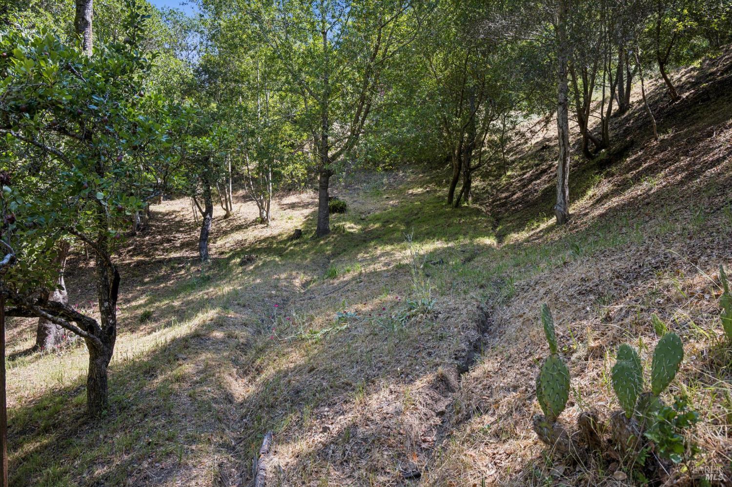 30 Escondida Lane Lagunitas CA 94938