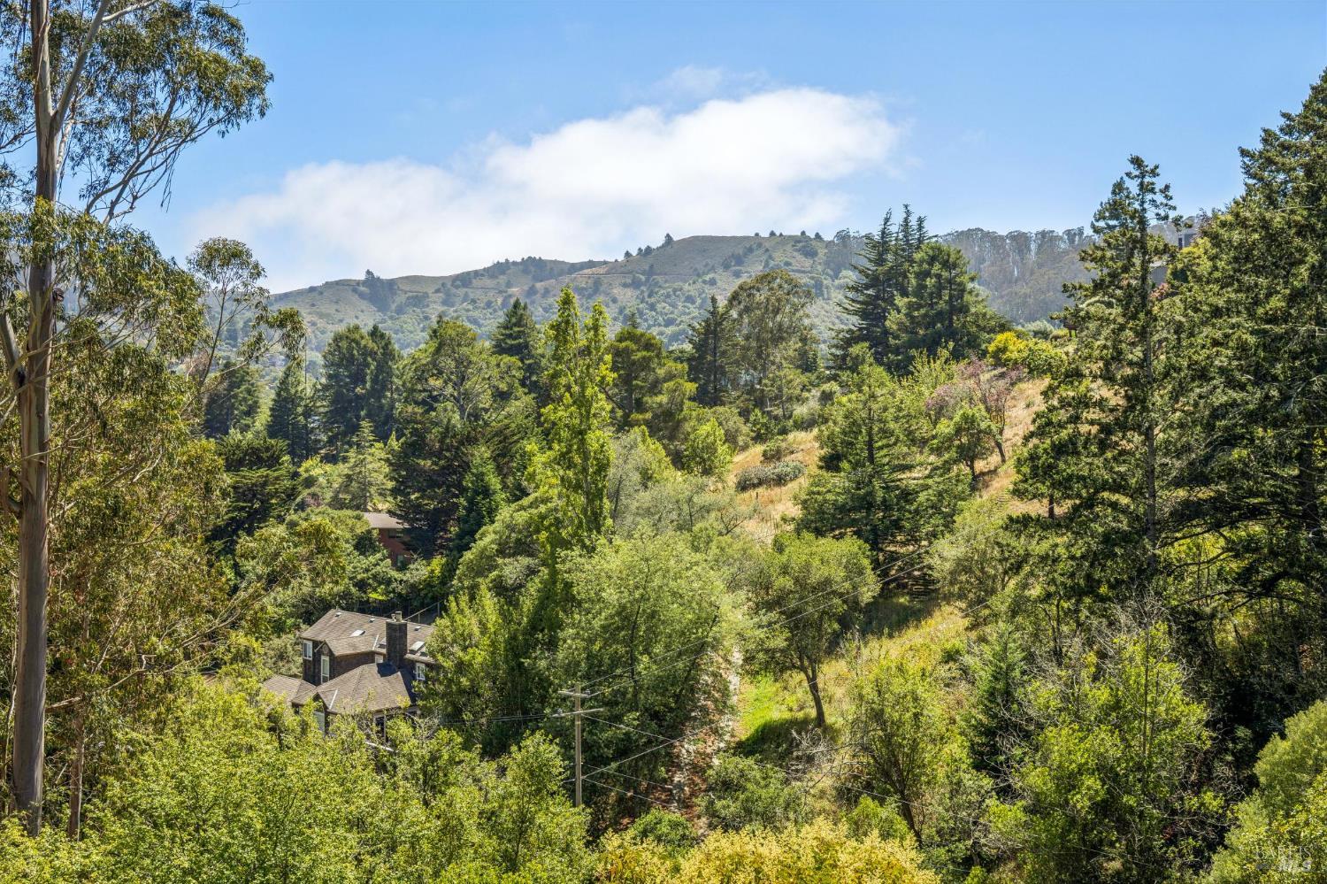 1030 Trillium Lane Mill Valley CA 94941