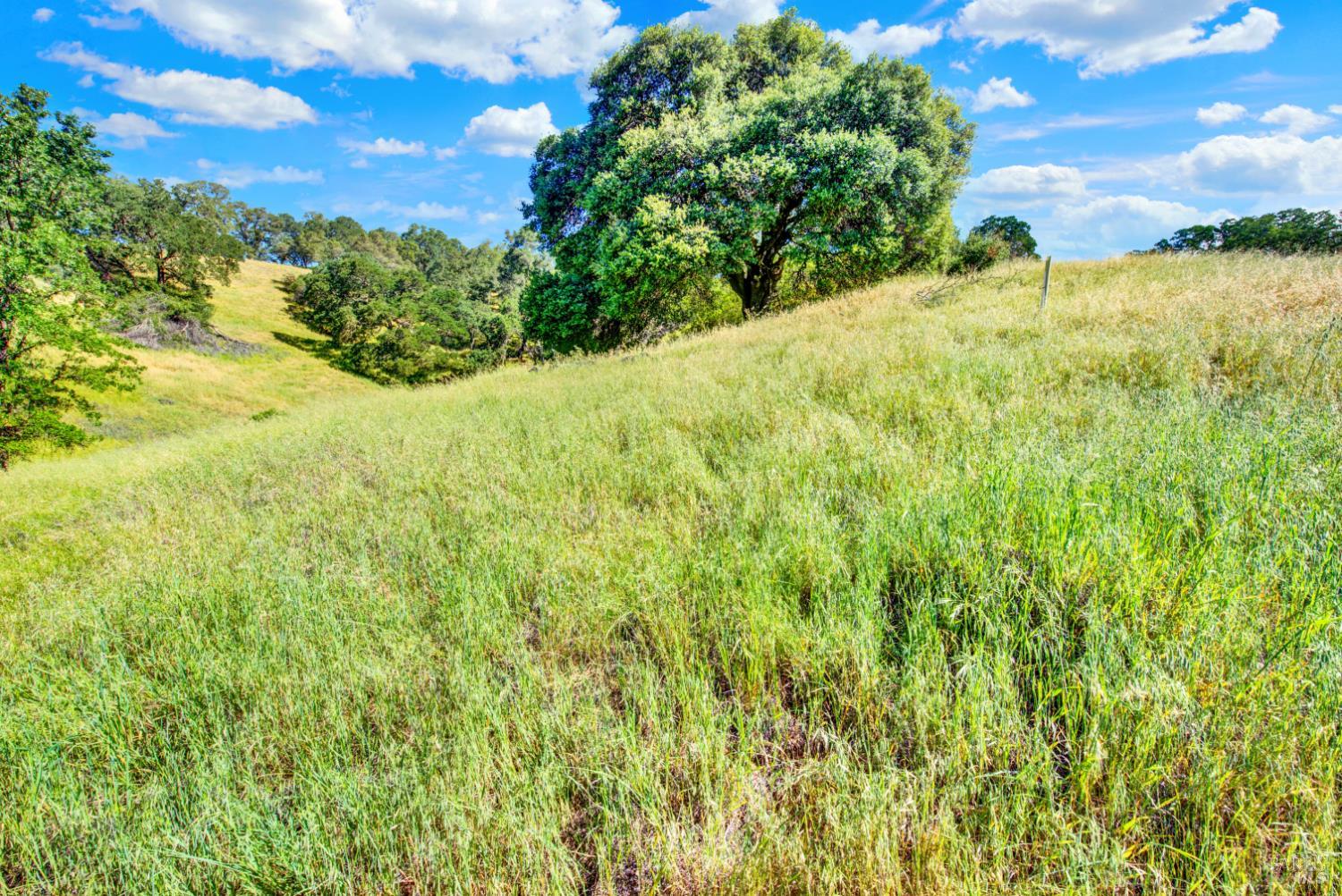 30 Oak Springs Drive Napa CA 94558