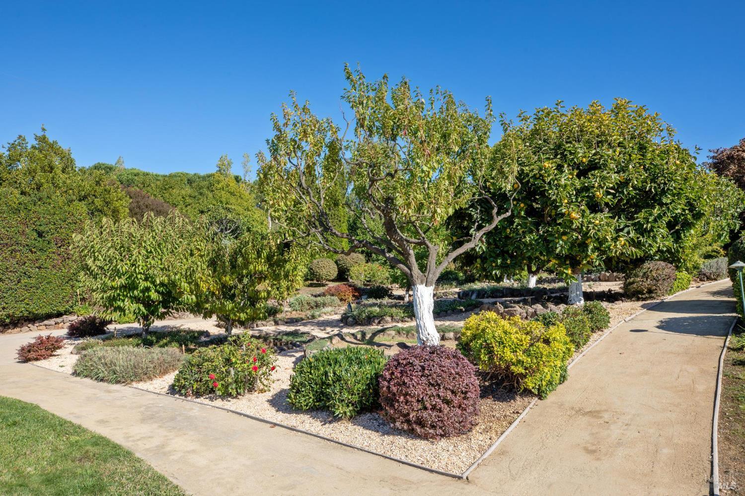 215 Kreuzer Lane Napa CA 94559