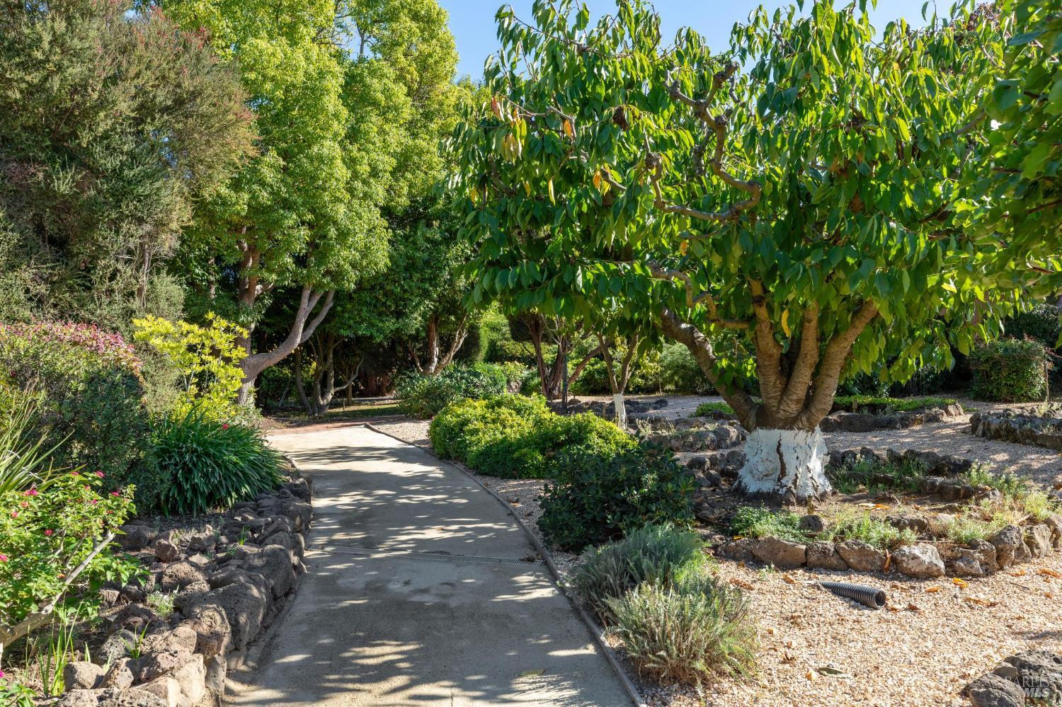 215 Kreuzer Lane Napa CA 94559