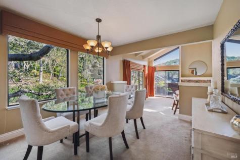 11 Badger Court Novato CA 94949