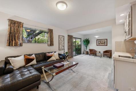 11 Badger Court Novato CA 94949