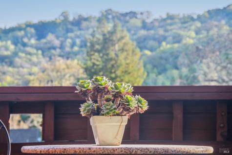 11 Badger Court Novato CA 94949