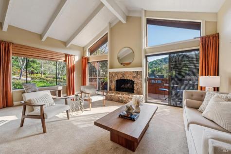 11 Badger Court Novato CA 94949
