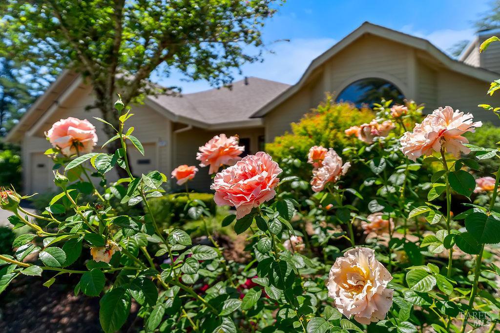 8280 Oakmont Drive Santa Rosa CA 95409