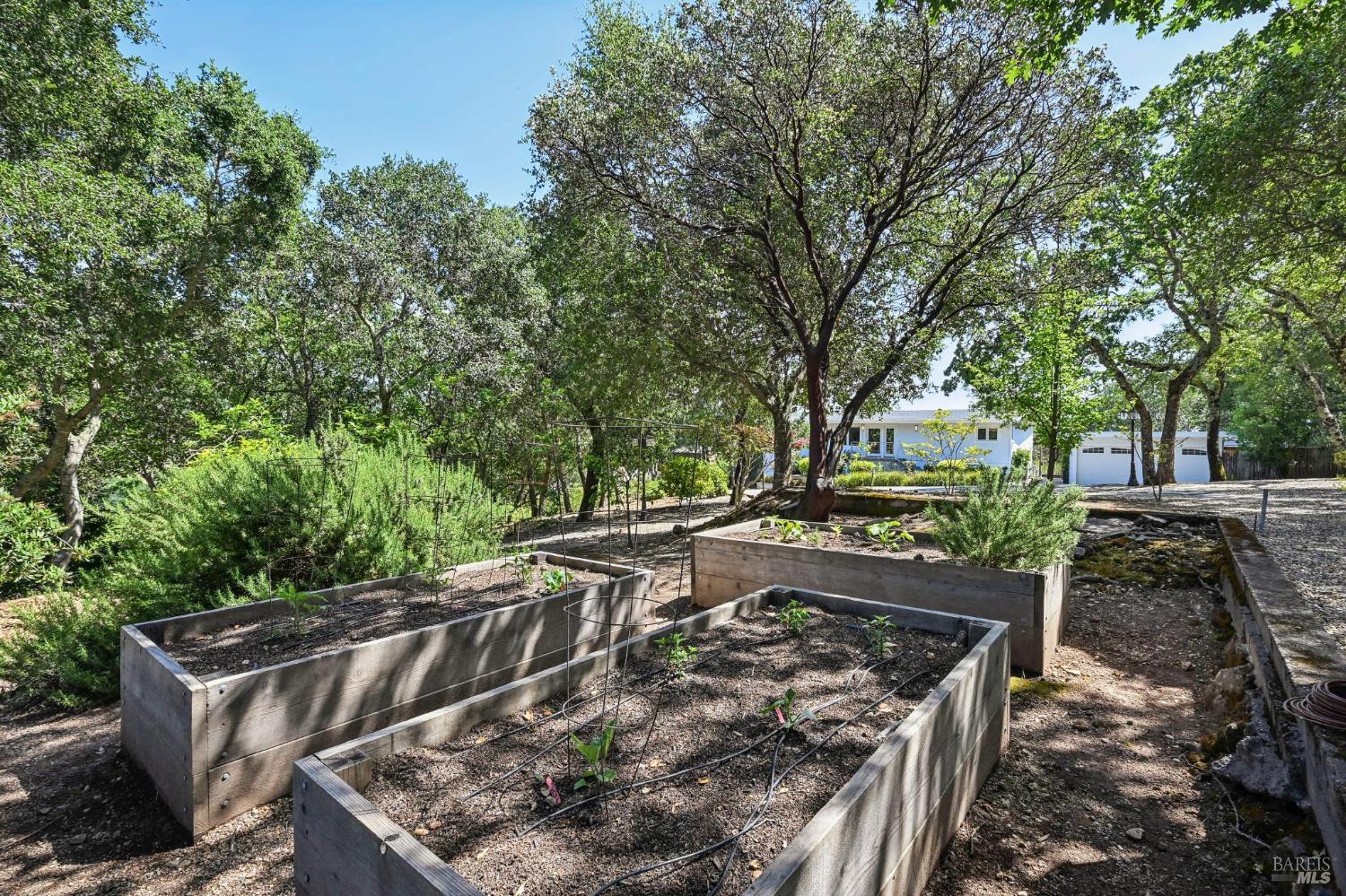 510 Paragon Way Sonoma CA 95476