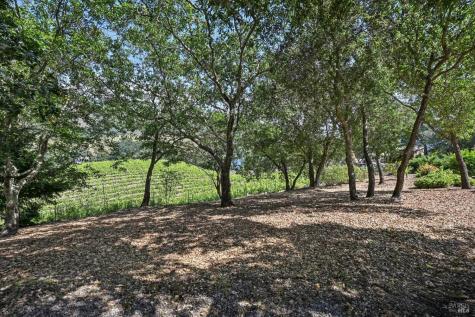 510 Paragon Way Sonoma CA 95476