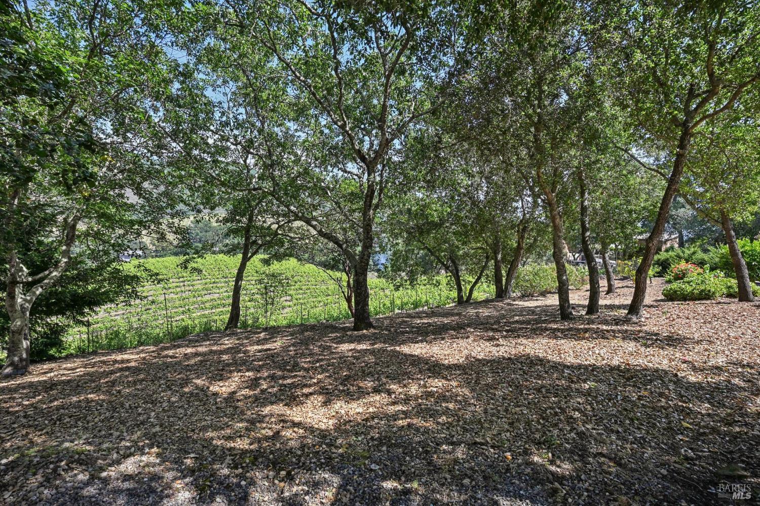 510 Paragon Way Sonoma CA 95476
