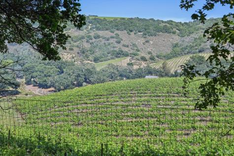 510 Paragon Way Sonoma CA 95476