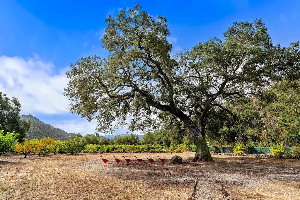 321 Dutch Henry Canyon Road Calistoga CA 94515