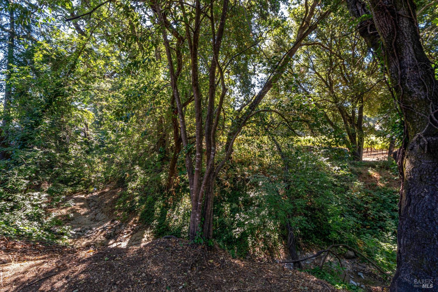 1240 Arroyo Sarco Way Napa CA 94558