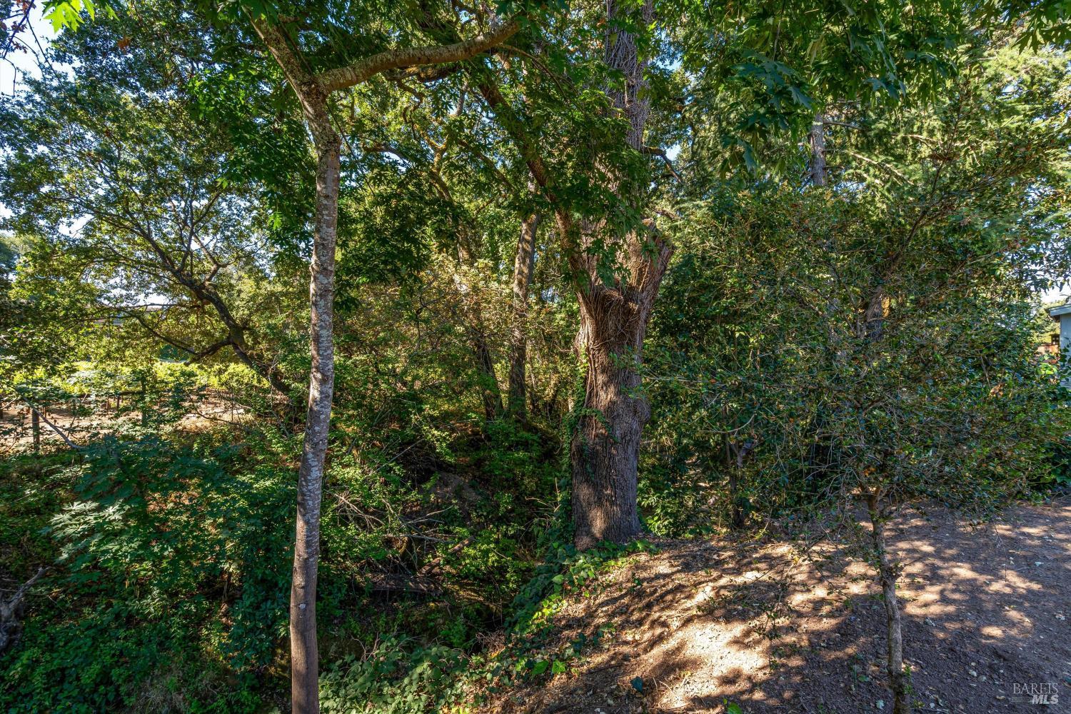 1240 Arroyo Sarco Way Napa CA 94558