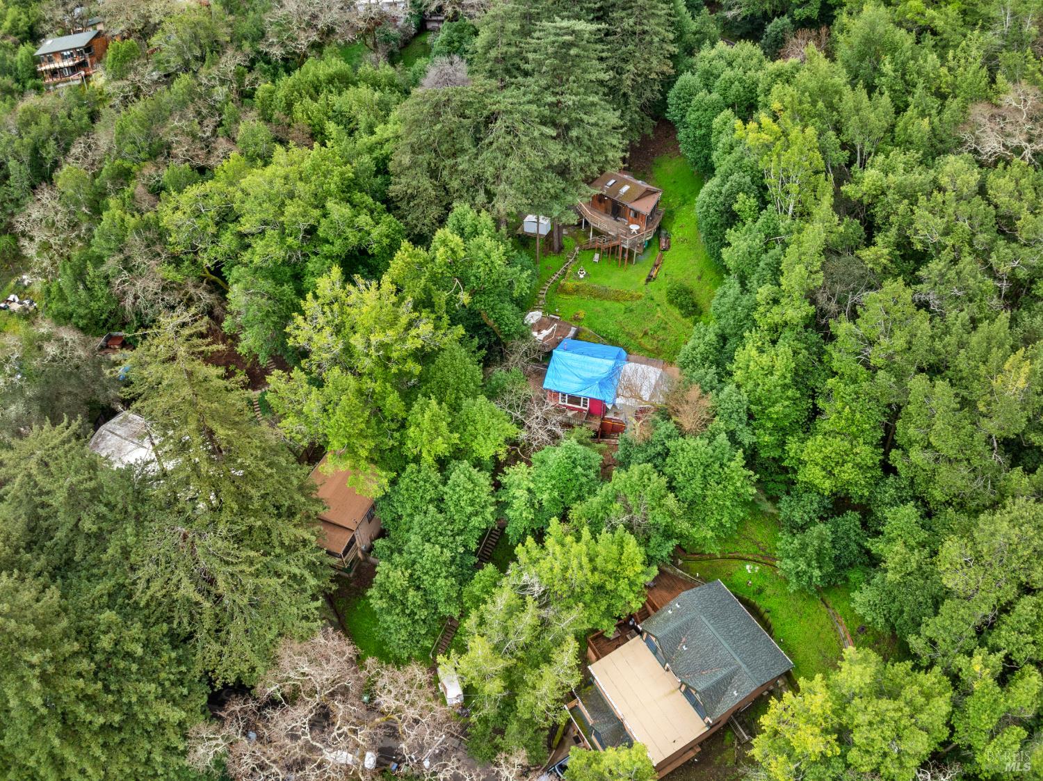 155 Forrest Avenue Fairfax CA 94930
