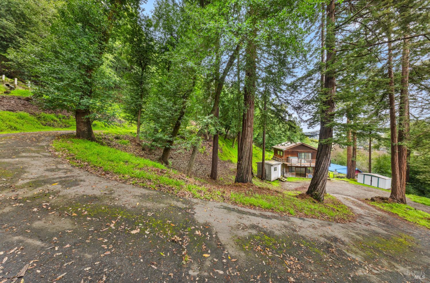 155 Forrest Avenue Fairfax CA 94930
