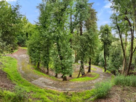 155 Forrest Avenue Fairfax CA 94930