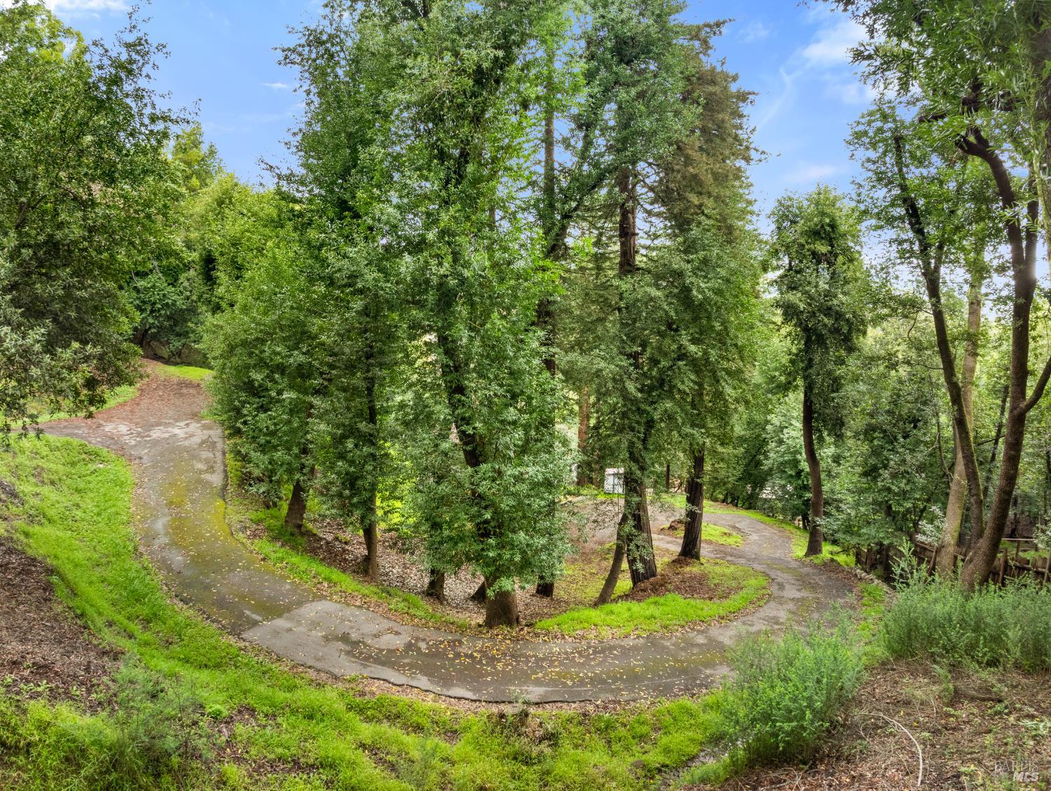 155 Forrest Avenue Fairfax CA 94930
