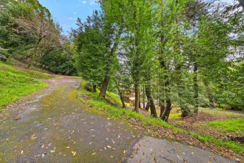 155 Forrest Avenue Fairfax CA 94930