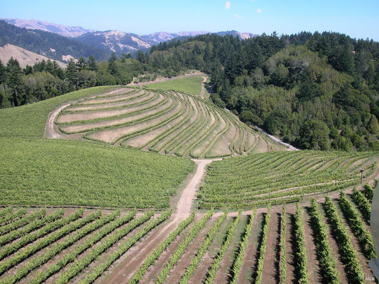 200 Road To Ranch Nicasio CA 94946