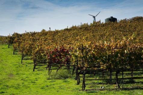 200 Road To Ranch Nicasio CA 94946