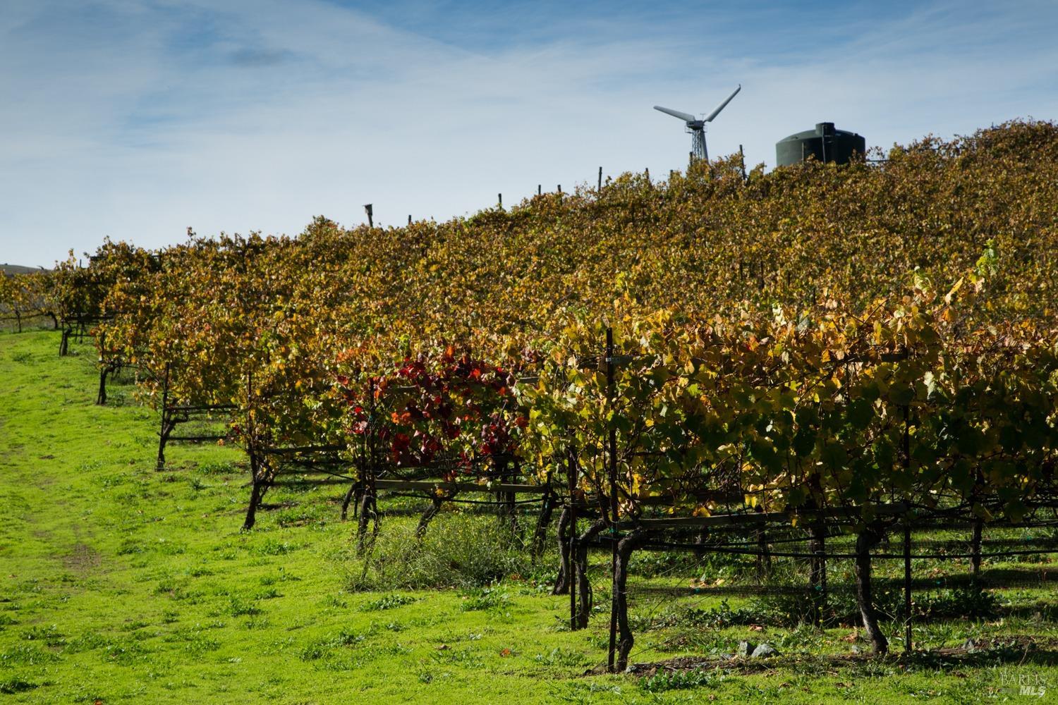 200 Road To Ranch Nicasio CA 94946