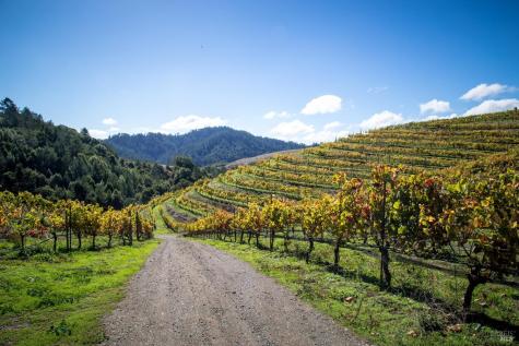 200 Road To Ranch Nicasio CA 94946