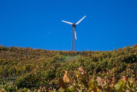 200 Road To Ranch Nicasio CA 94946