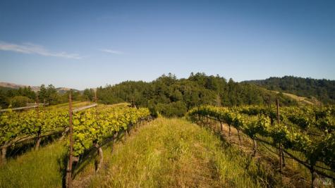 200 Road To Ranch Nicasio CA 94946