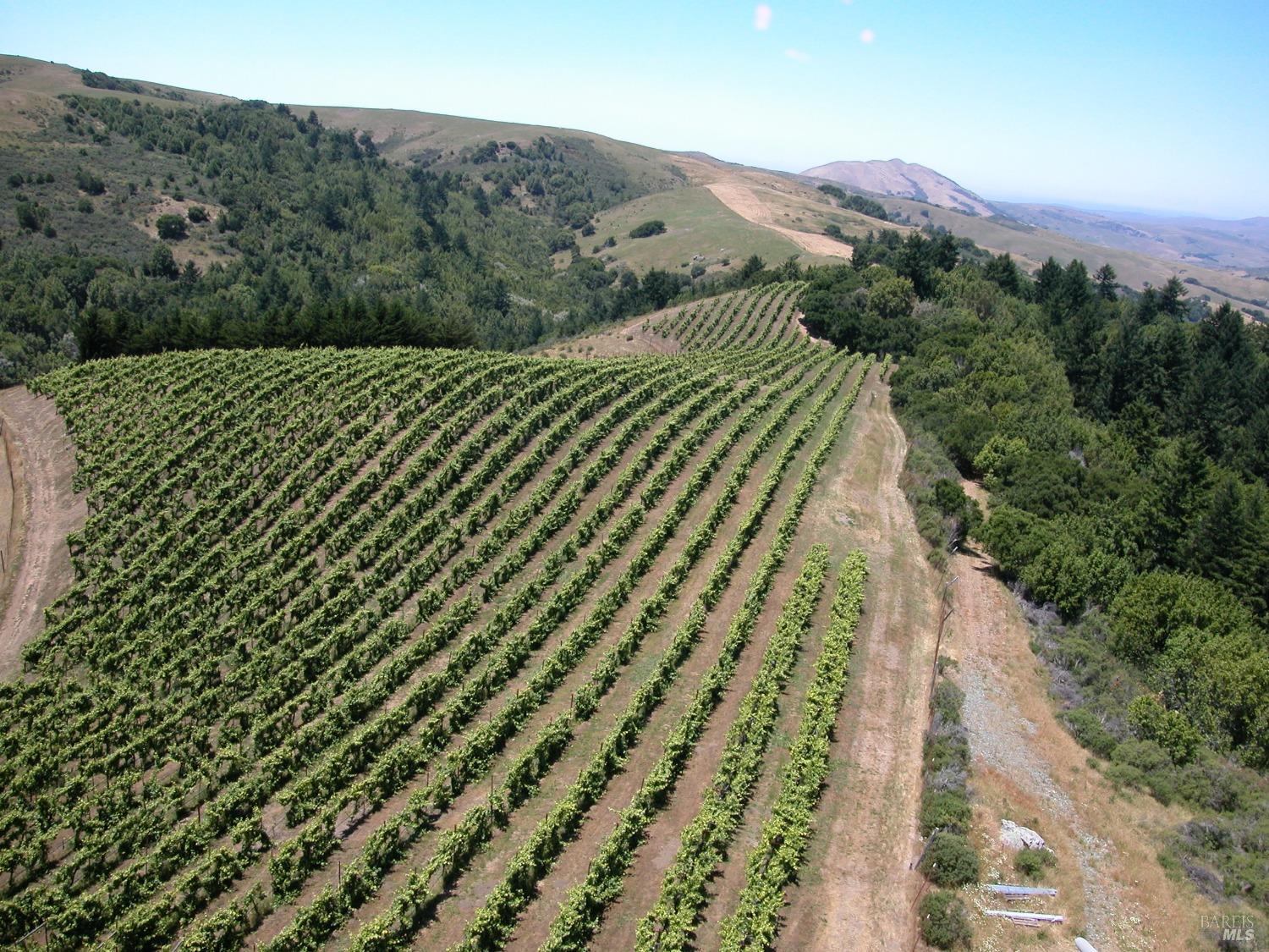 200 Road To Ranch Nicasio CA 94946