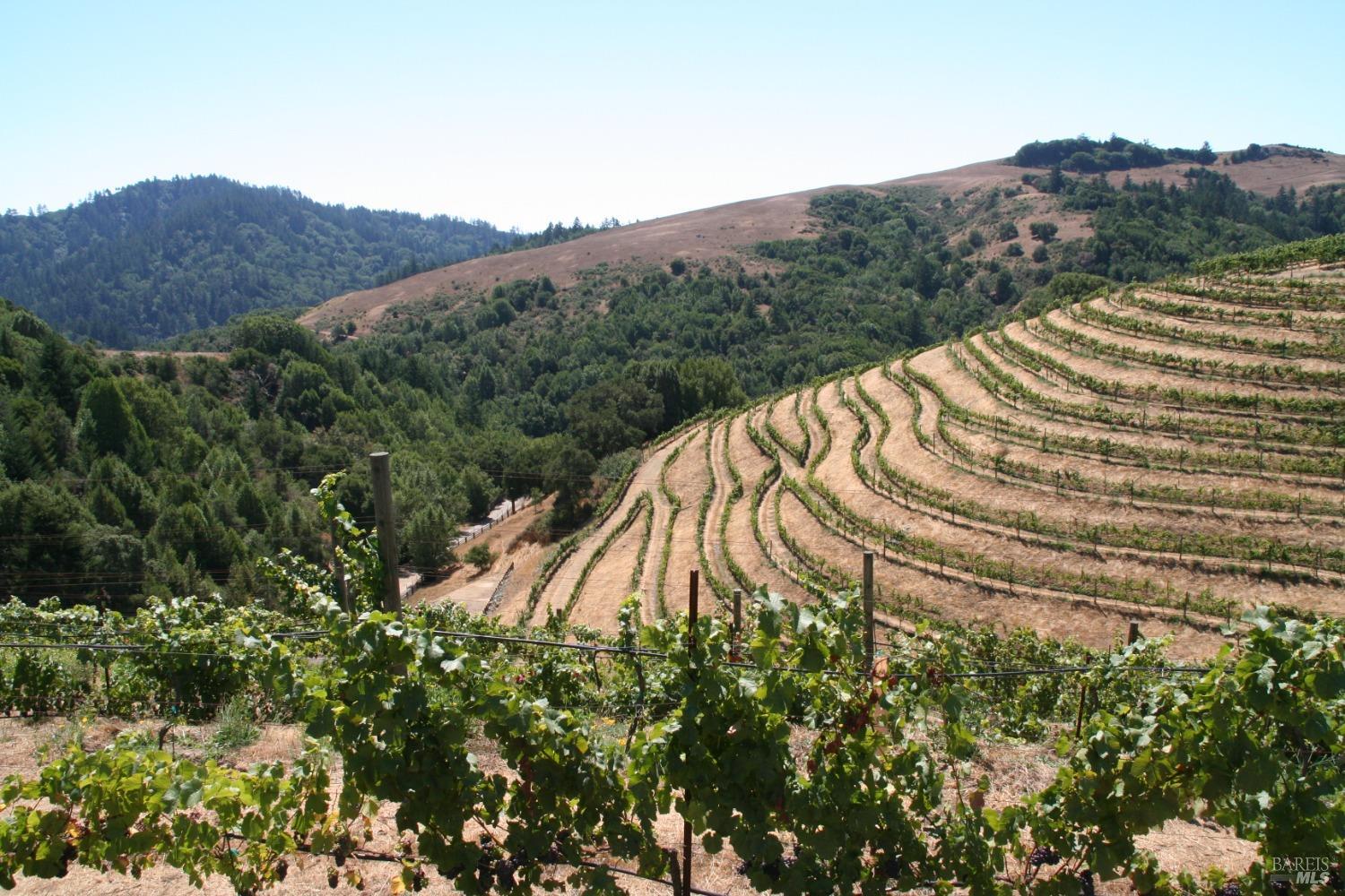200 Road To Ranch Nicasio CA 94946