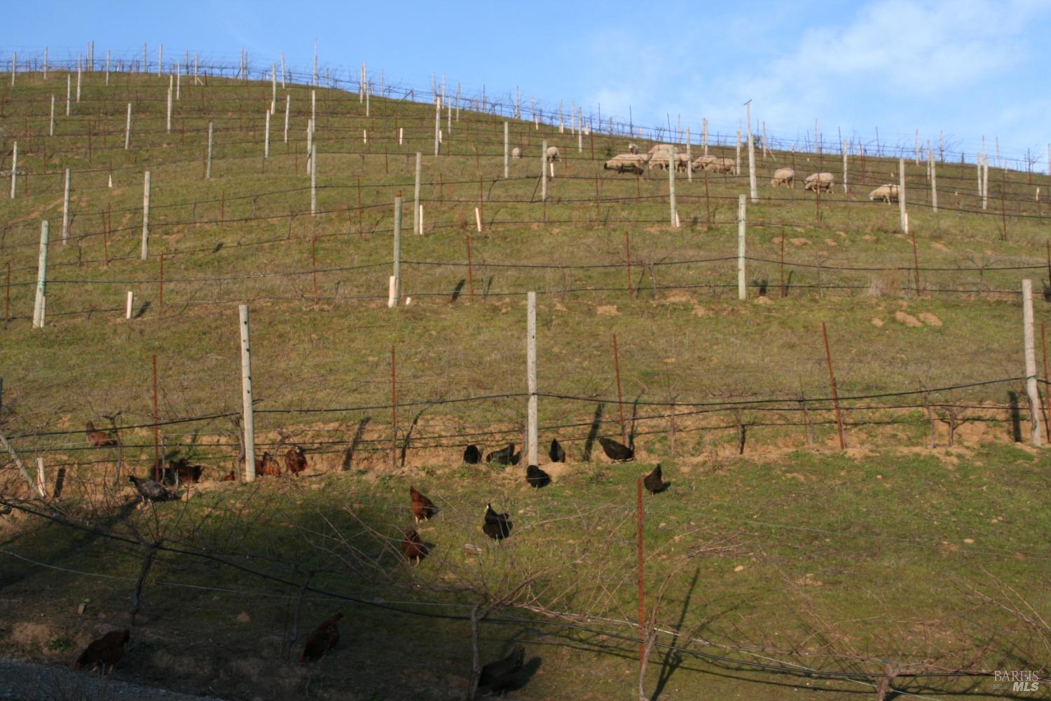 200 Road To Ranch Nicasio CA 94946