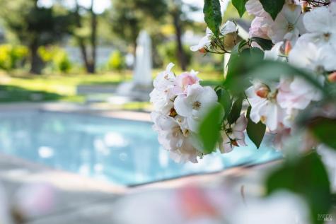 2288 Vineyard Road Novato CA 94947