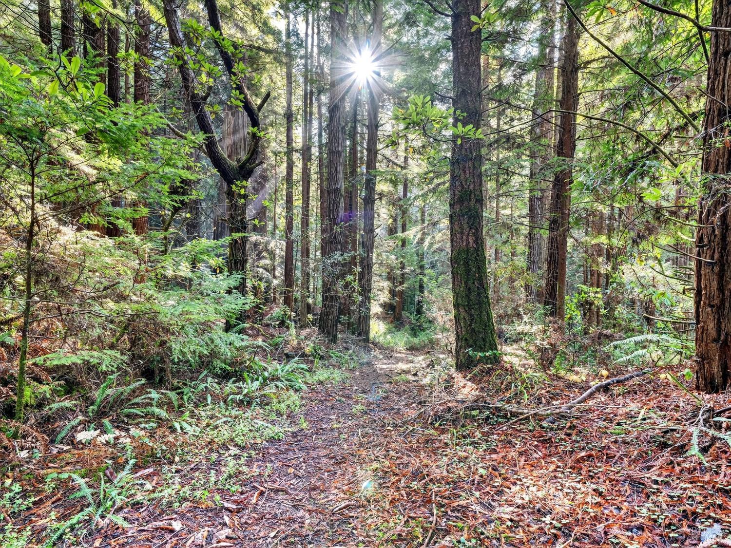 19400 Dorffi Road Fort Bragg CA 95437